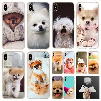 Pomeranian cachorros Tipográficas cartaz macia Macia do Silicone Para o iPhone 13 12 11 Pro 7 8 6 6s Mais XR XS Max Tampa Mini SE de 2020
