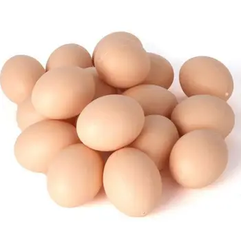 5/10pcs Para Ovos de Galinha para Incubação, Incubação de Aves de Simulação de Criação de Pintura de Ovos de Páscoa Falso Ovos de Plástico Artificial DIY Ed