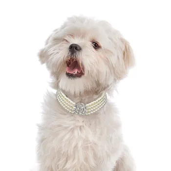 Elegante Cristal Coleira Do Cão Colar Gargantilha Estilo De Strass, Pérola De Luxo Para Animais De Estimação Acessórios Colares Para Cães Chihuahua D40